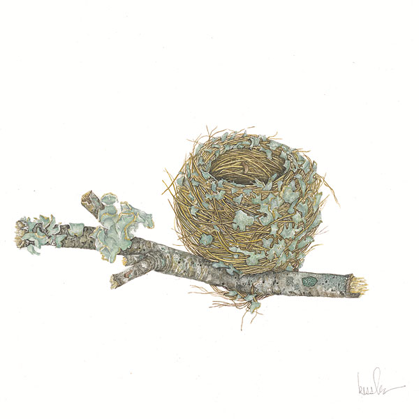 Hummingbird Nest watercolor painting