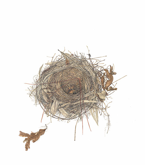 Bird&apos;s Nest Series #10